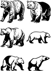 Set of polar bear vector illustrations in black, animal drawings, mammals sketches 