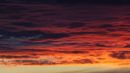 Ciel rougeoyant pendant un coucher de soleil, derrière des nuages de haute altitude - obrazy, fototapety, plakaty