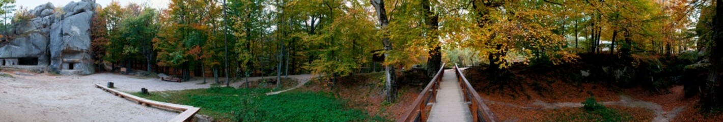 Panorama of autumn forest and rocks. Green and yellow leaves on trees.