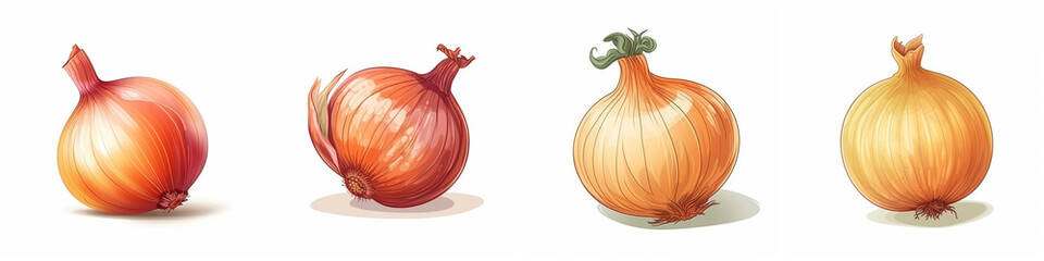 Set of cartoon onion vegetable illustration, isolated on white background