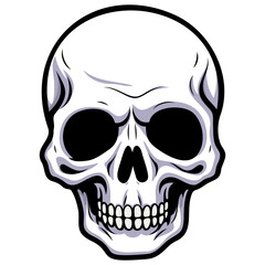 Human skull vector illustration. Halloween symbol of death, skeleton head, day of the dead.