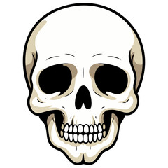 Human skull vector illustration. Halloween symbol of death, skeleton head, day of the dead.