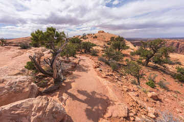 hiking the upheaval dome trail, canyonlands national park, usa