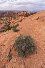 hiking the upheaval dome trail, canyonlands national park, usa