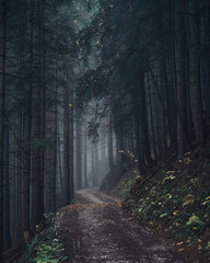 Obraz premium Hochschwabgebiet