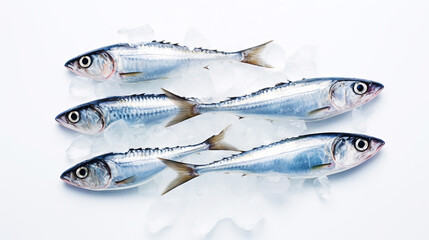 Fresh mackerel fish (Scomber scrombrus) on ice. Seafood background. Generative AI