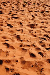砂漠の砂と足跡