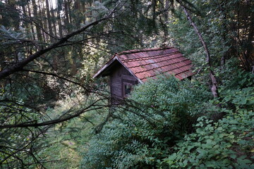 Small wooden house in the forest