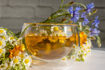 Tea with herbs, chamomile flower