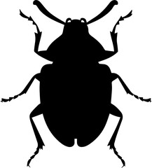 Figeater Beetle icon 5