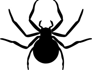 False Widow Spider icon 2