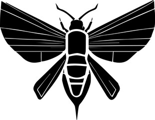 Epicyon haydeni icon 2