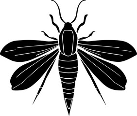 Epicyon haydeni icon 1