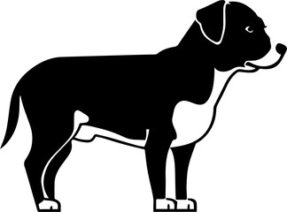 Entlebucher Mountain Dog icon 7