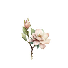 Floral branch for creating greeting cards. Hand drawn, isolated on a white background