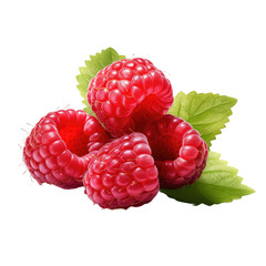 ripe raspberries isolated on transparent background