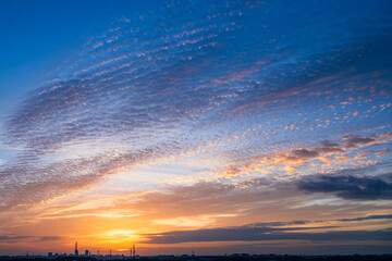 朝焼けの巻積雲