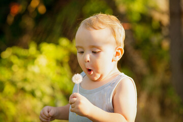 Cute little blond boy blowing fluffy dandelion, child playing on summer nature