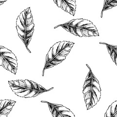 Seamless pattern of hand-drawn leaf. Doodle leaf. Black-and-white illustration in sketch style. Vintage, doodle. Nature and ecology vector concept.
