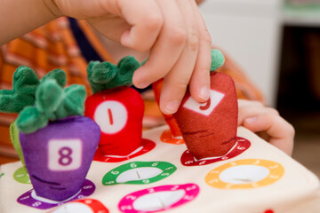 Soft stuffed logic toy for children. Learning numbers and colors. Put the right color carrot to...