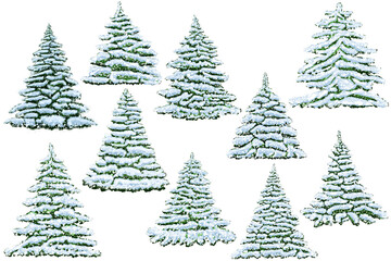 Set of Christmas trees snow-covered. Evergreen snow-covered tree in winter. Green spruce in the snow.