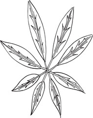 Outline branches with leaves. Contour thin leaf. Botanical set of hand drawn design elements lineart