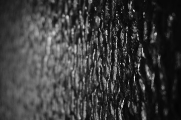 Abstract background wallpaper black and white