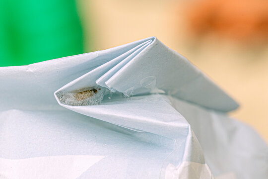 Eine Lebensmittelmotte klebt an der Innenseite des Falzes einer Lebensmittelverpackung in einem Motten Kokon