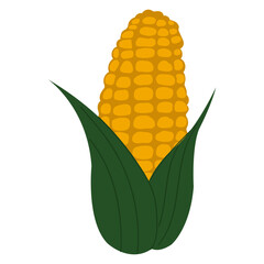 Obraz premium Simple cartoon style yellow corn. Golden maize harvest concept.
