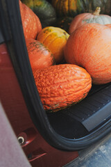 Red car with different pumpkins in the trunk. Farmers car on Halloween holiday. Vertical photo Closeup.