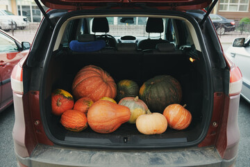 Red car with different pumpkins in the trunk. Parked farmers  SUV on Halloween holiday. Horizontal photo. Closeup.