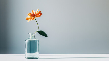 Fototapeta na wymiar A small white vase with a yellow flower
