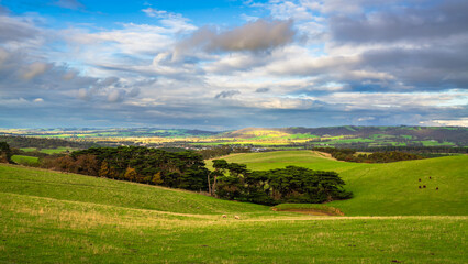 Adelaide Hills green farmlands during winter season at sunset time, South Australia