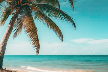 Fototapeta na wymiar palm trees and turquoise sea on the coast