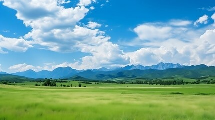 Natural landscape of summer field and high mountain
