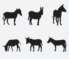 A set of detailed high quality donkey farm animal silhouettes