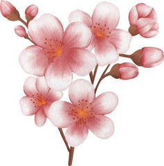 Naklejka na ściany i meble blossom sakura watercolor PNG paper texture
