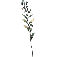 Obraz premium Wildflower ornaments