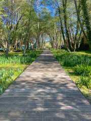 Ribeiro Matadouro Park in Santo Tirso, Portugal.