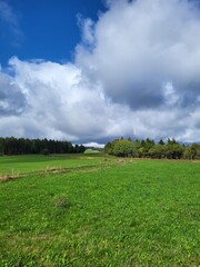 Obraz premium Unterwegs am Rennsteig-Neuhaus