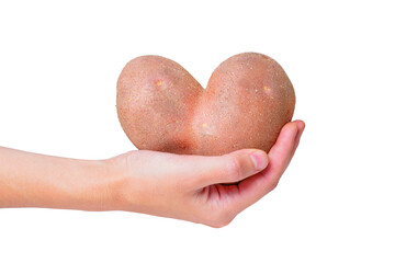 Huge Heart-Shaped Potato Held in Hand