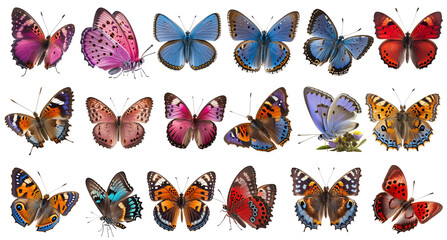 Collection of rare butterflies on PNG transparent background for decorating projects.