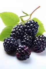 blackberry with leaf isolated on a white background. With copy space for your text. Flat lay