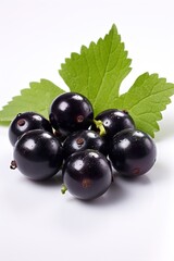 black currant with leaf isolated on a white background. With copy space for your text. Flat lay