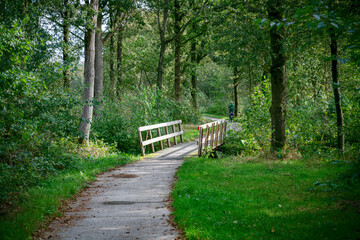 green nature in holland with woman on bike