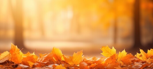 Naklejka na ściany i meble autumn landscape with yellow leaves backdrop background
