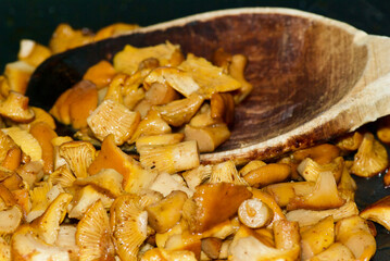 Pieces of golden chanterelles and an old wooden ladle in a frying pan.