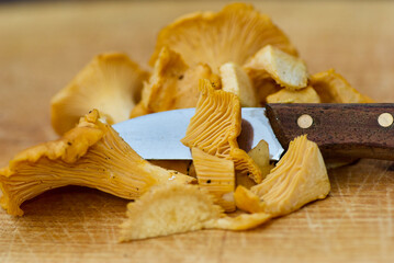 Close-up of pieces of fresh golden chanterelles with a knife laying on a wooden cutting board ready...