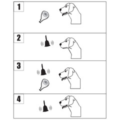 Pavlov's experiment on the dog, conditional mechanisms in educational psychology.
