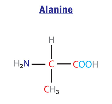 Alanine amino acid formula and structure. Chemical molecular formula of Alanine.